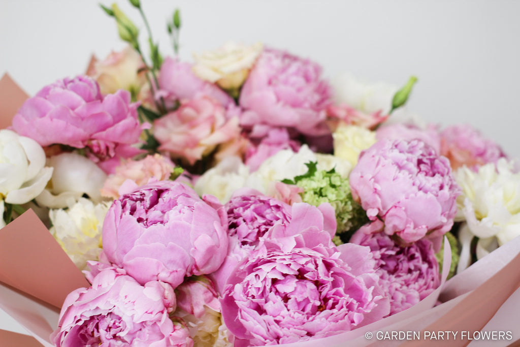 The most asked about flower: The Peony