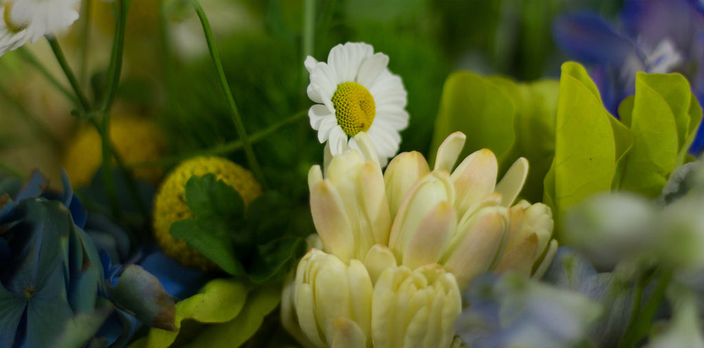 Take A Tour Of The Worlds Largest Flower Auction With Us!